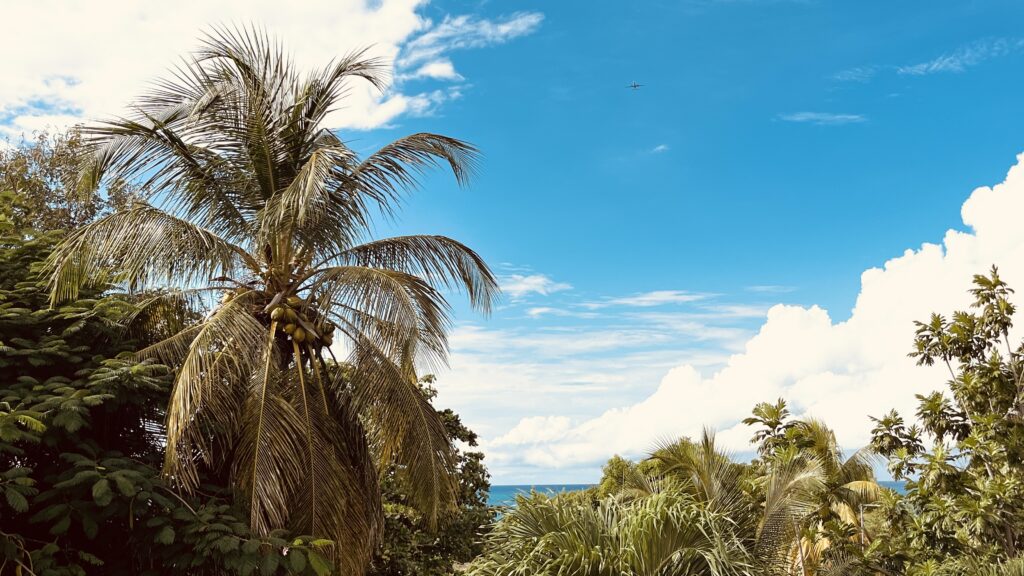 guadeloupe deshaies grande anse plage vue mer