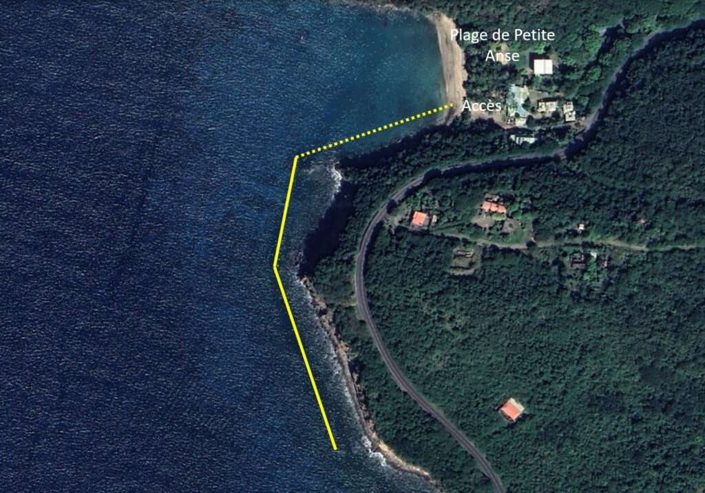 petite anse deshaies snorkeling guadeloupe