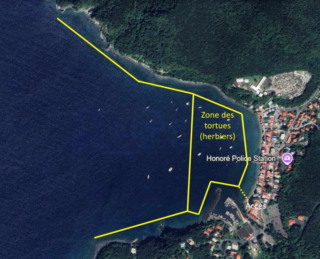 deshaies snorkeling guadeloupe palmes masque tuba PMT