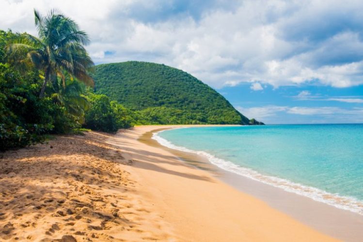 plage de grande anse deshaies guadeloupe